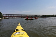 Sava bridges and great war island 7